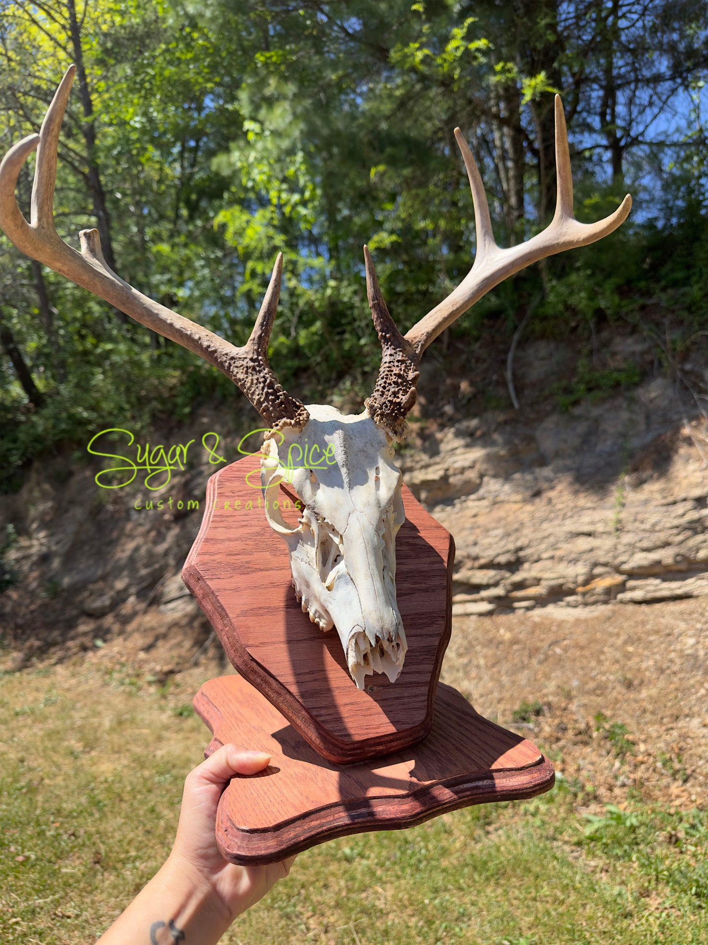 European Mount