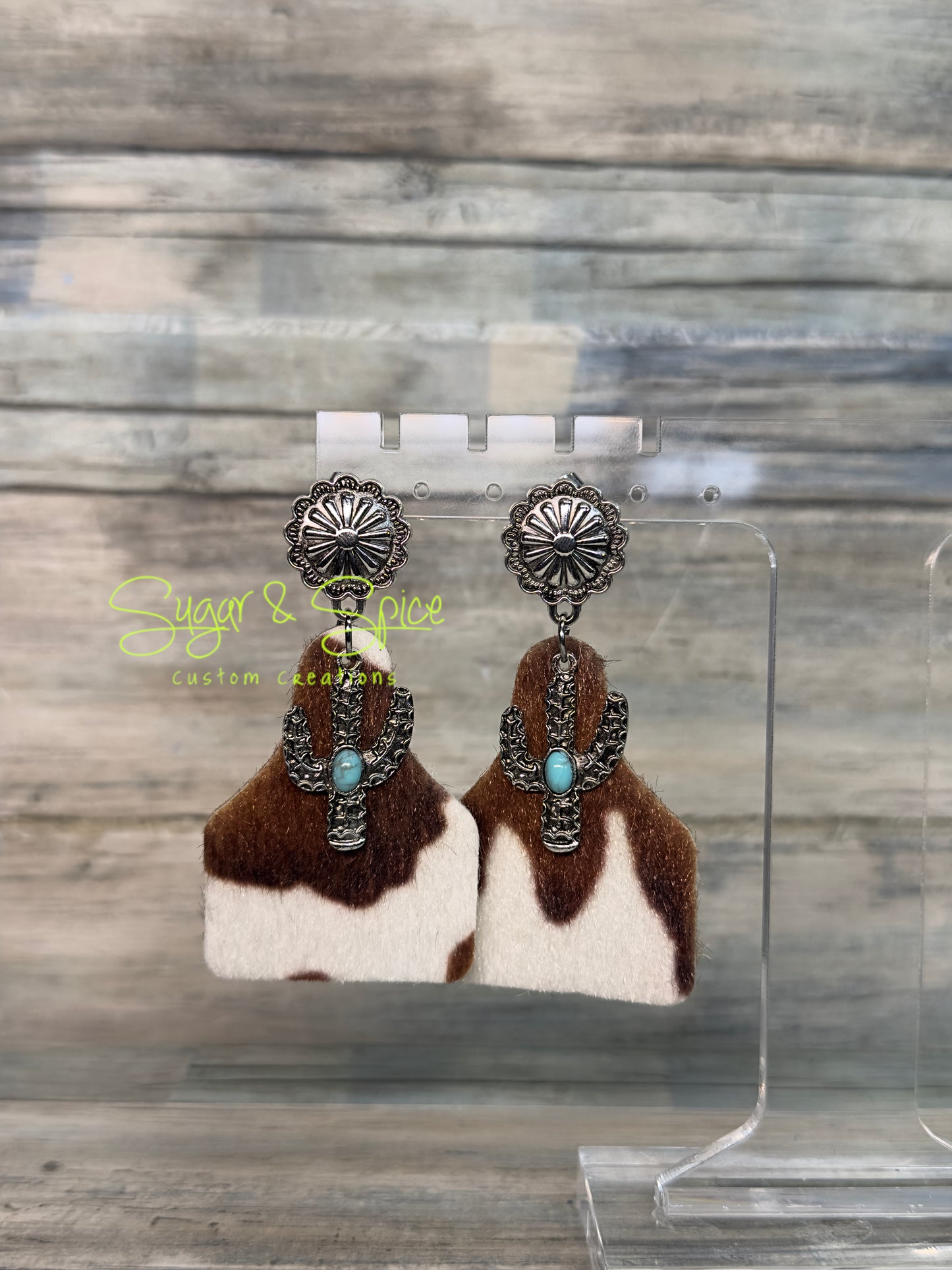 Pushback Western Earrings