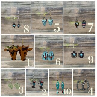 Various Western Earrings